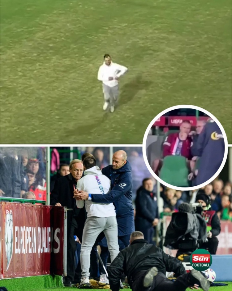 太陽(yáng)報(bào)：在挪威和摩爾多瓦的比賽中，一球迷試圖沖入球場(chǎng)找哈蘭德